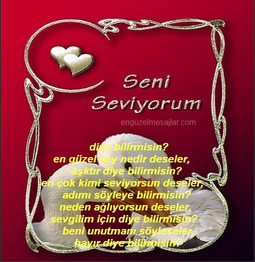 Resimli Aşk Mesajları Sözleri