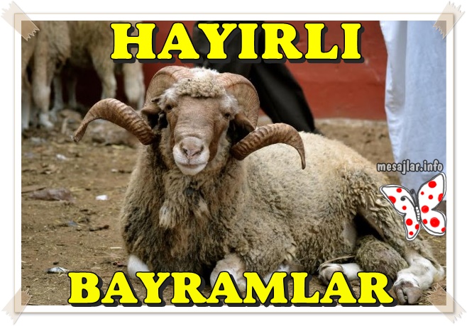 Resimli Kurban Bayramı Mesajları Sözleri